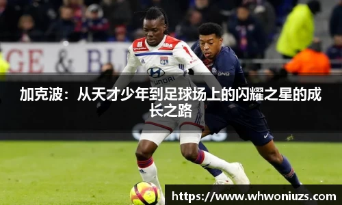 BB贝博艾弗森